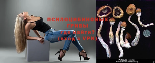 соль ск Нефтекумск