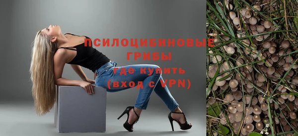 соль ск Нефтекумск