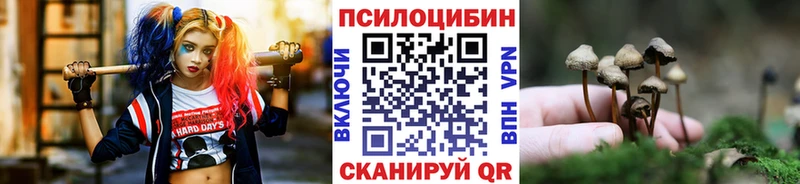 Псилоцибиновые грибы GOLDEN TEACHER дарк нет какой сайт Тосно блэк спрут ссылки