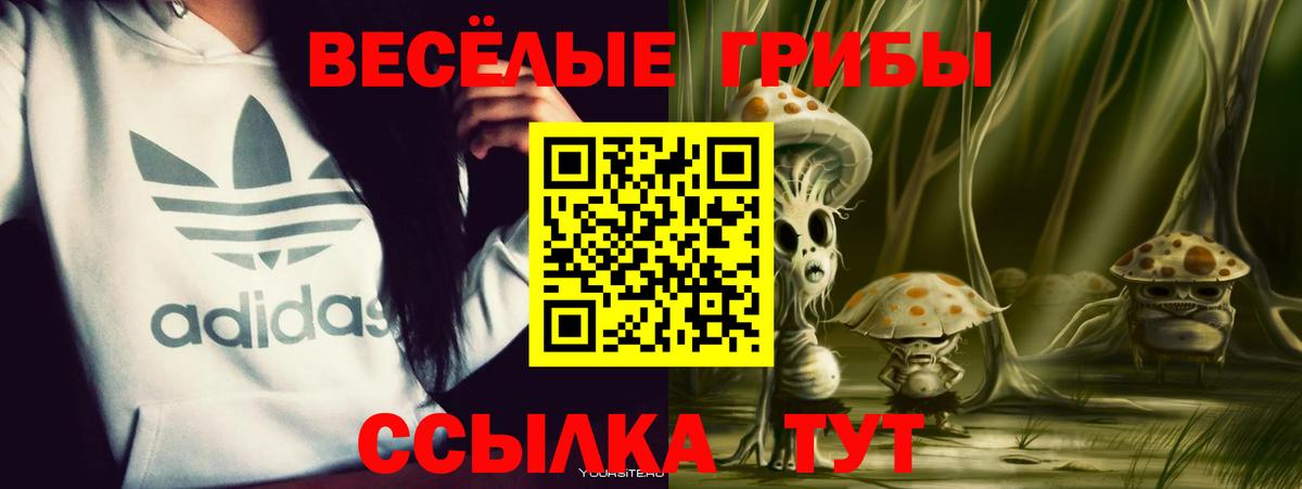Тосно  купить наркотик  Вход с VPN  Псилоцибиновые грибы Psilocybe 