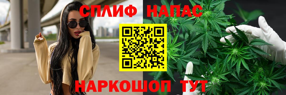 МАРИХУАНА гибрид  МАРИХУАНА семена  Тосно  Вход с VPN  Бошки Шишки White Widow 